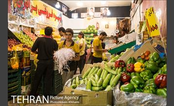 میوه های تابستانه رونق میوه فروشی ها 11