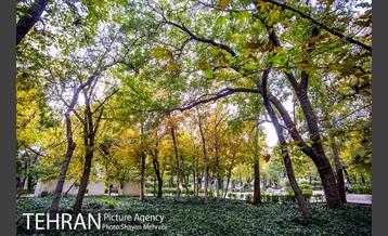 پاییز پارک شهر 10