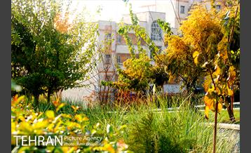 شهرک مسکونی شهید باقری 16