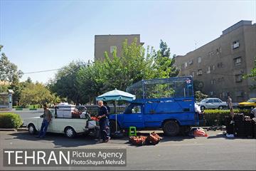 میوه فروشان خیابانی 19