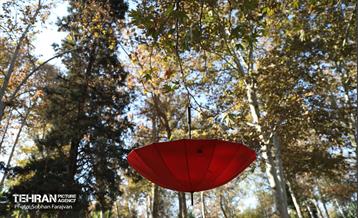 گذر پاییزی بوستان بعثت 20