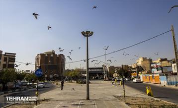 به وقت خدمت؛ باغ‌راه حضرت زهرا(س) محدوده امامزاده حسن (ع) 6