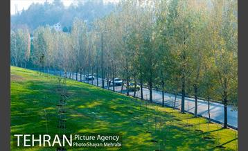 پاییز اراضی عباس آباد 10