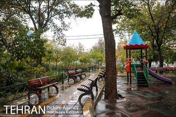 بارش باران پاییزی در تهران 1