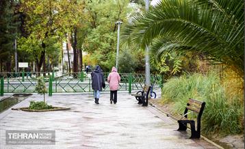 یک روز پاییزی در منطقه ۱۴