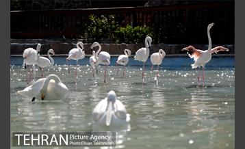 بازدید اصحاب رسانه از فاز ۲ باغ پرندگان 24