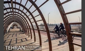 پویش سه شنبه های بدون خودرو 11