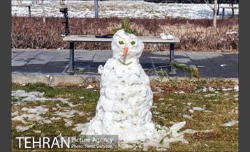 روز برفی در باغ موزه قصر‎ 9