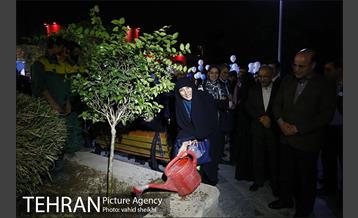پویش شهروندی آرزوهای تهران  33