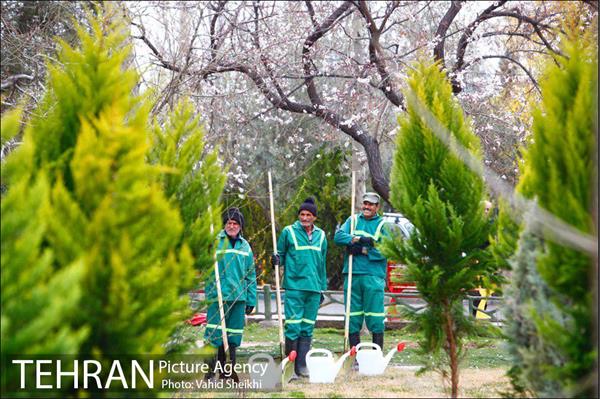 مراسم کاشت نهال در هفته منابع طبیعی (درخت فرهنگ و هنر) 16