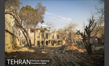 تاریخ رها شده؛ باغ کیهانی 7