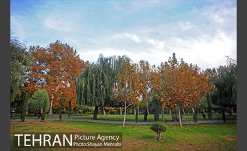 طبیعت پاییزی بوستان لاله 13