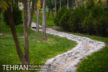 طبیعت پاییزی بوستان فدک 27
