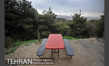 پارک جنگلی لویزان‎ 22