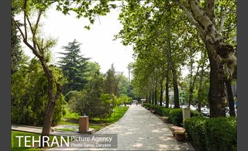 بوستان نیاوران 15