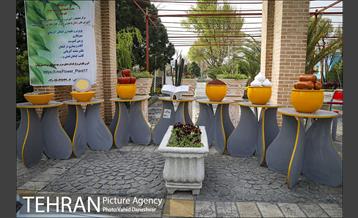 اجرای طرح استقبال از نوروز ۱۴۰۰ در منطقه 17