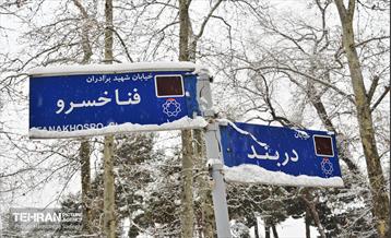 تهران برفی  12