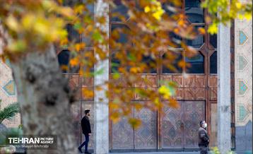 سمفونی رنگ های پاییزی  16