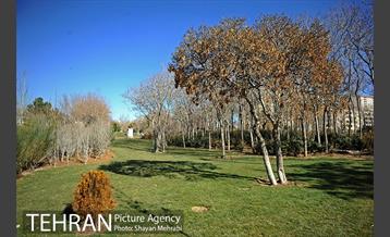 بوستان پلیس 6