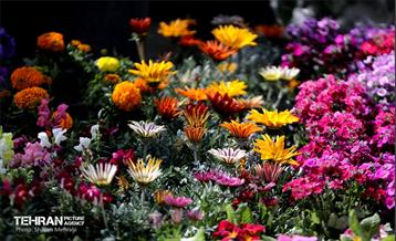 بهره‌برداری از پروژه‌های شرکت ساماندهی صنایع و مشاغل شهر تهران 30