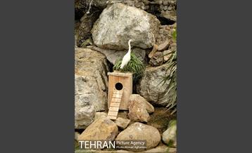 افتتاح اولین "باغچه خبر" در تهران 24