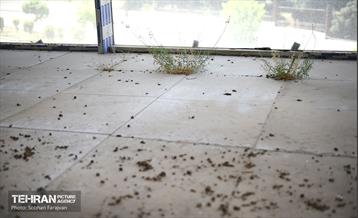 بازدید اصحاب رسانه از پایانه جدید شرق 18