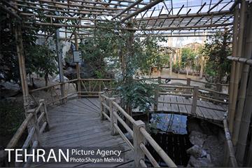 باغ پرندگان تهران 15