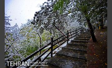 بارش برف پاییزی در بوستان طالقانی 36