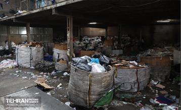 تخلیه و پلمب مرکز غیرمجاز پسماند در منطقه 17 29