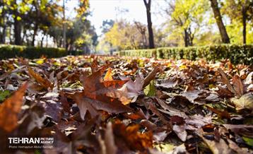 گذرگاه های پاییزی پایتخت - منطقه 14