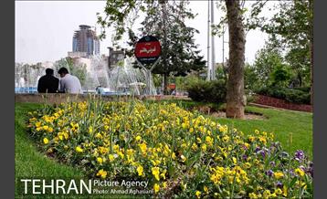 آیین رونمایی از تابلوی میدان قمر بنی هاشم (ع) 10