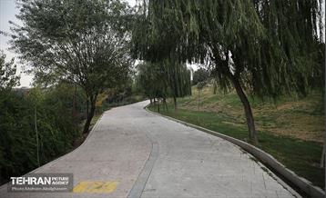 طبیعت پاییزی باغ راه فدک تهران 9