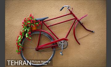 کوچه تمدن  6