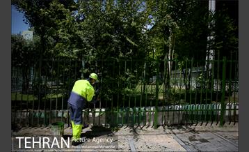 آماده سازی دانشگاه تهران برای نماز جمعه 1