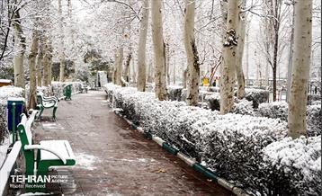 روز برفی تهران - 3 21