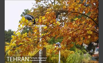 حال و هوای بارانی میدان هفت حوض  8