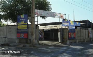 عرضه دام زنده بهداشتی ویژه روز عرفه و عید قربان 22