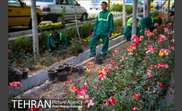 گلکاری در خیابان ولیعصر 13