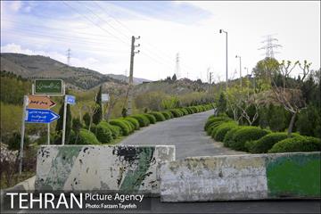 روز طبیعت در بوستان هاى منطقه ٥