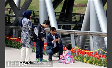 حال و هوای پایتخت در اولین روز بهار 23