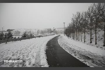 روز برفی تهران - 2 22