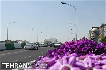 گل آرایی پل سیدخندان 23