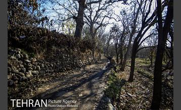 کوچه باغ های محله کن 44