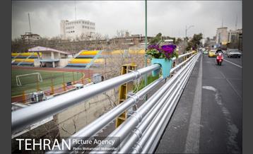 استقبال از بهار در خیابانهای تهران 12