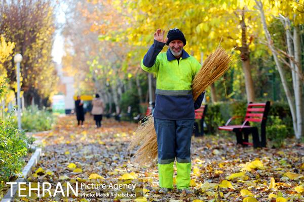 پاییز بوستان تمدن 8