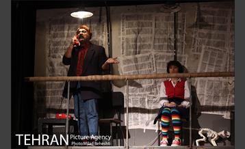 نمایش اثر پرتوهای گاما بر گل های همیشه بهار 5