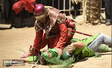 ظهر عاشورا در ده‌ ونک 19