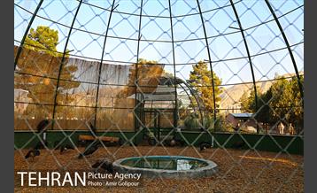 باغ راز هستی 42