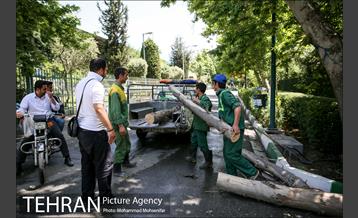 آماده سازی دانشگاه تهران برای نماز جمعه 27
