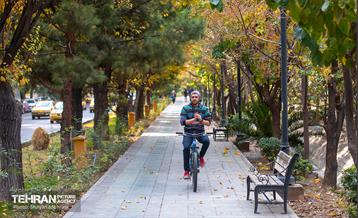 سمفونی رنگ های پاییزی  22